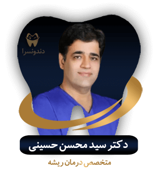 دکتر سید محسن حسینی